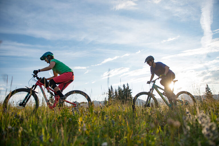 Christy sPorts Lone Star Bike Rentals - Path rides through the meadow