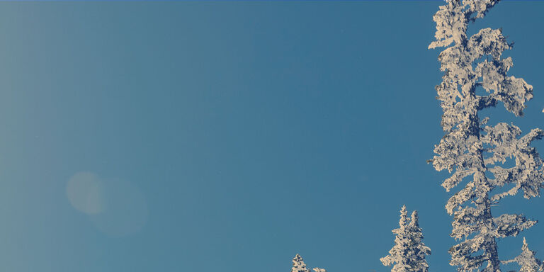 snowy trees on a ski slope with blue sky