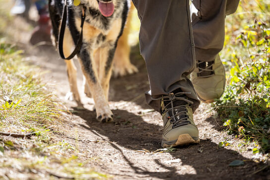 Must-Have Gear for Summer Hiking