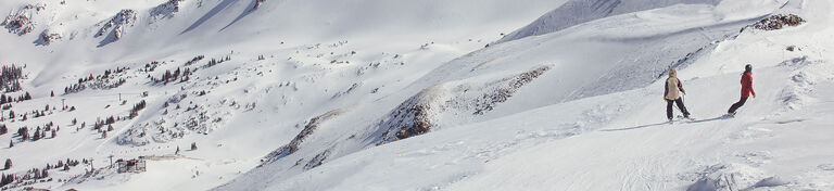skier and snowboarder on a catwalk above tree line