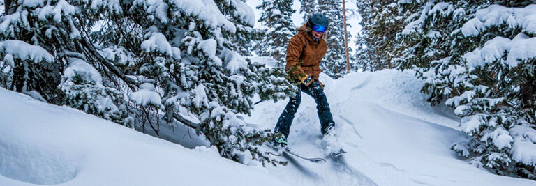 Clare skiing through trees on a powder day