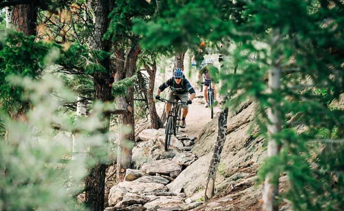 Man riding mountain bike through the woods