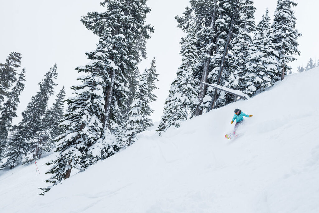 Powder Daze FAQs Christy Sports