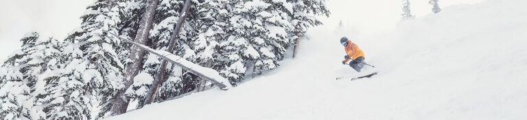 Skier carving on a beautiful snowy day
