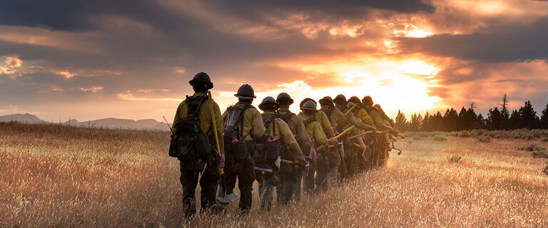 wildland firefighters walking through a field