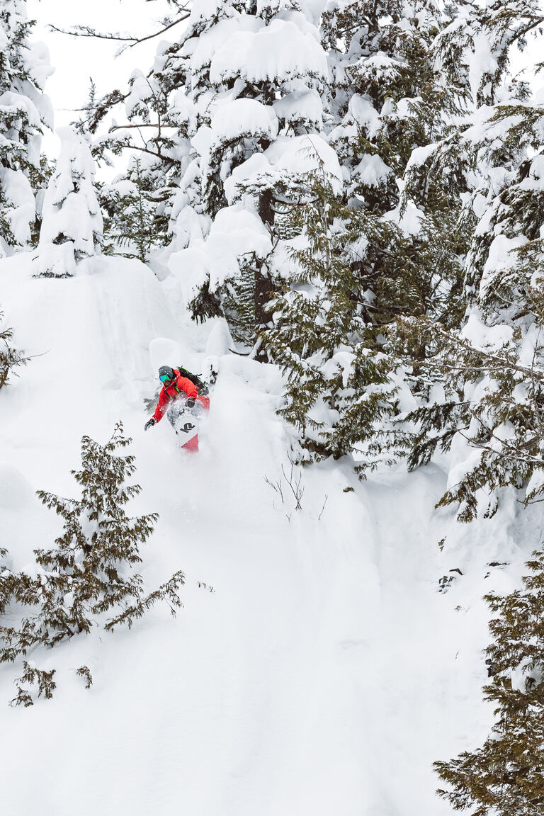 coming through the trees in the pow