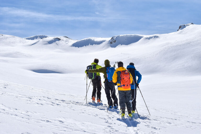 backcountry skiers surveying the landscape