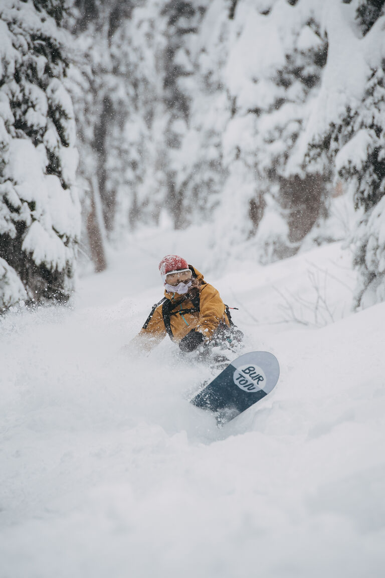 nose up out of the pow