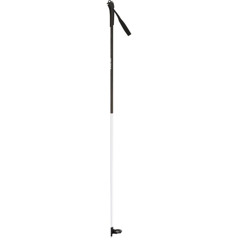 Rossignol FT-500 Nordic Poles image number 0