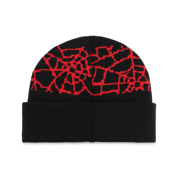 Spyder Nebula Beanie Boys