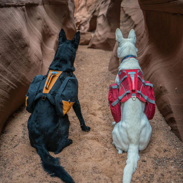 Liberty Mountain Kurgo Baxter Dog Backpack Regular