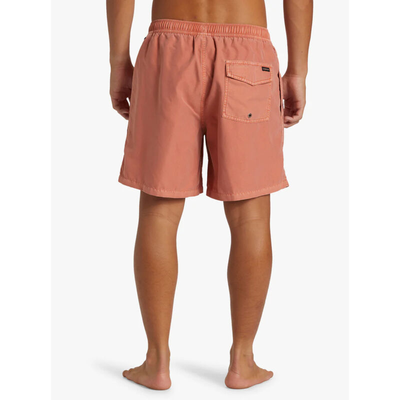 Quiksilver Everyday Surfwash Volley Waist Shorts Mens image number 3