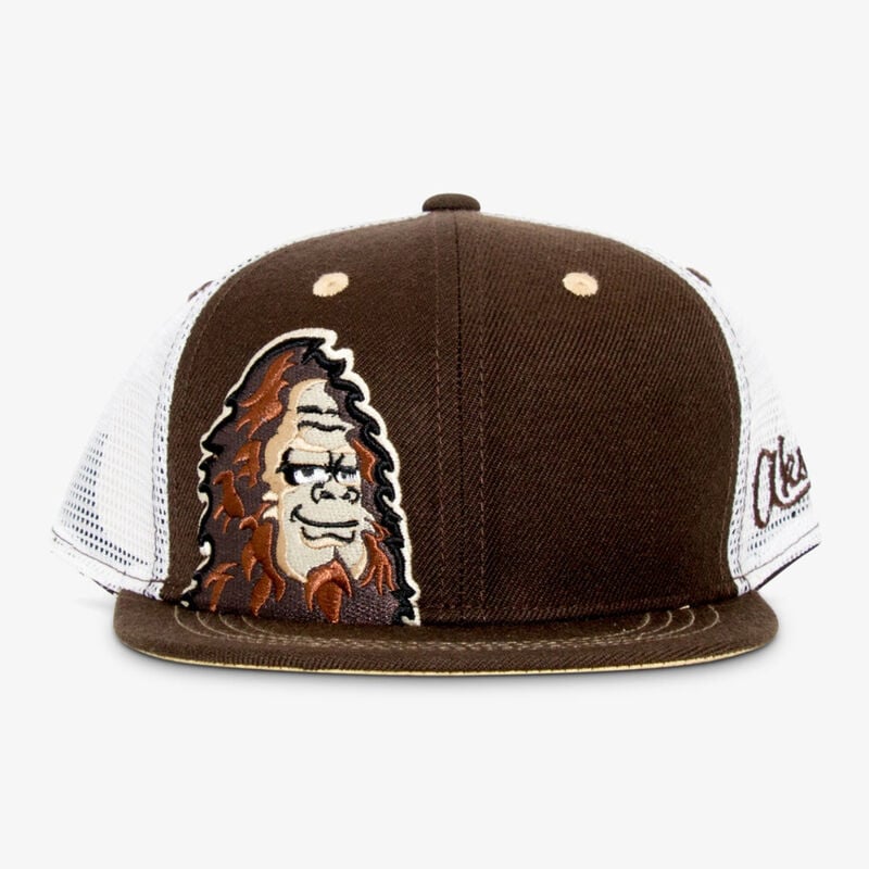 Aksels Bigfoot Flat Bill Hat Youth image number 0