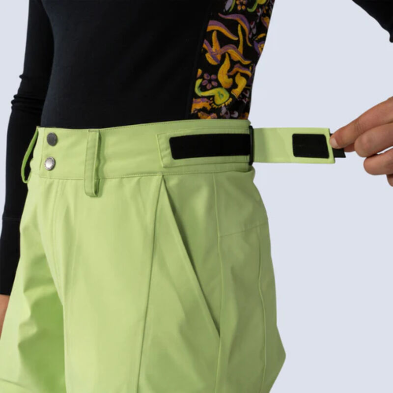 Wild Rye Butterfield 3L Pants Womens image number 4