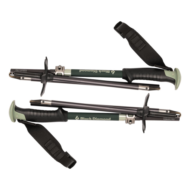 Black Diamond Compactor Ski Poles image number 2