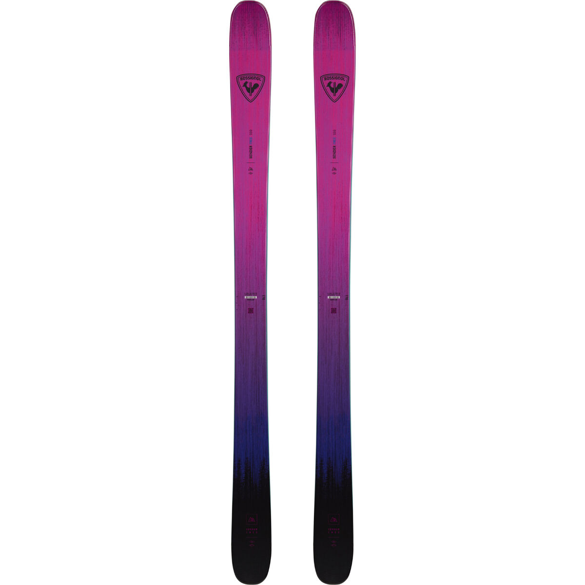 Rossignol Sender Free 100 Open Skis | Christy Sports