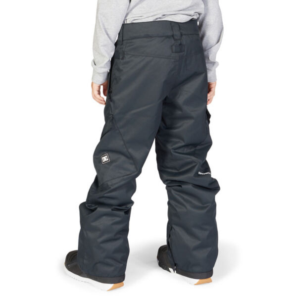 DC Shoes Banshee Snow Pants Boy's