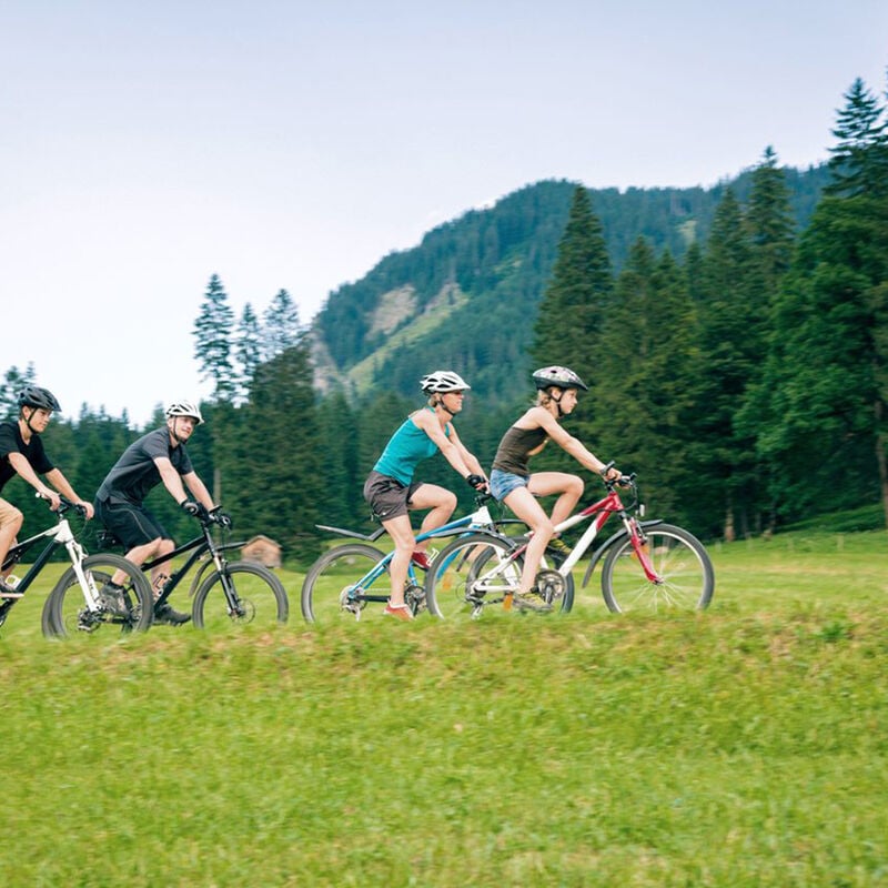 Front Suspension Trail Bike - Adult