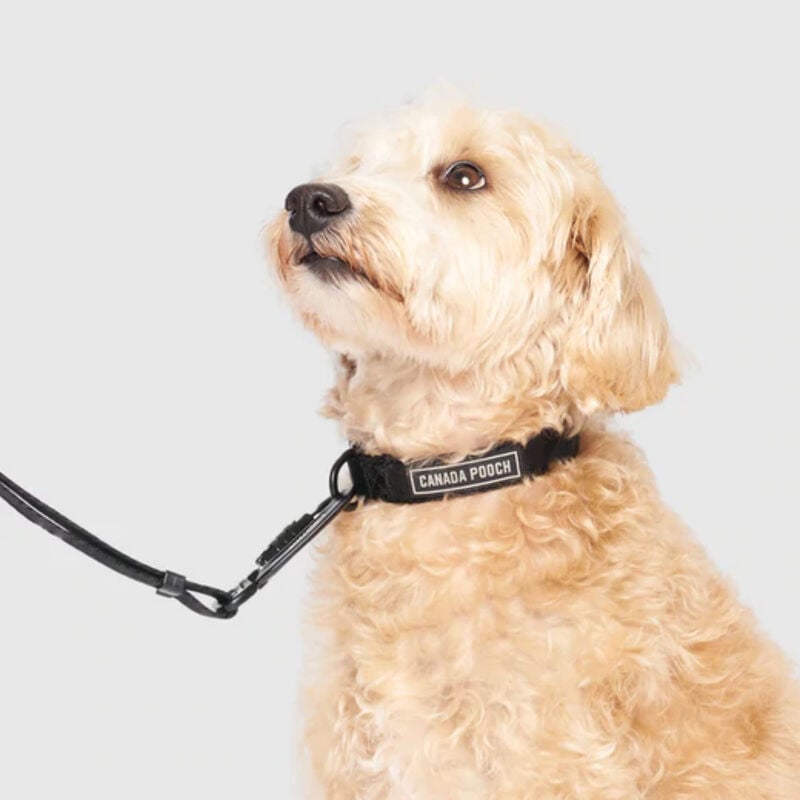 Canada Pooch Utility Collar image number 0