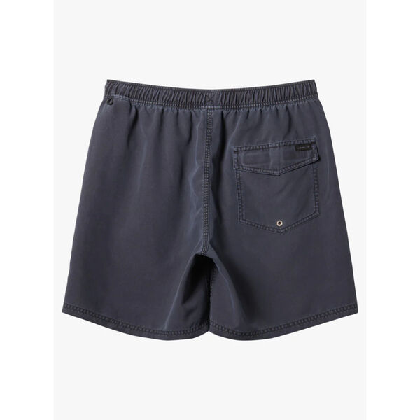 Quiksilver Everyday Surfwash Volley Waist Shorts Mens