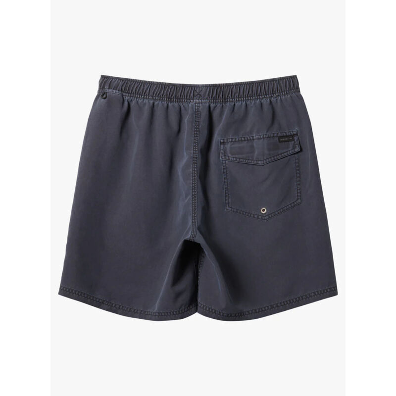 Quiksilver Everyday Surfwash Volley Waist Shorts Mens image number 1