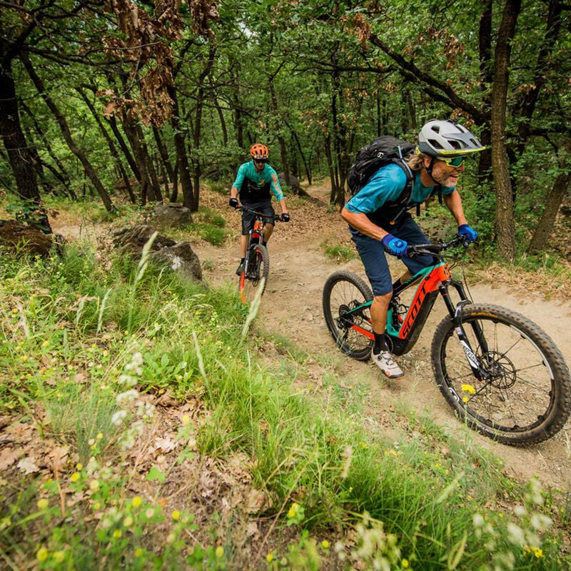 Mountain E-Bike - Adult