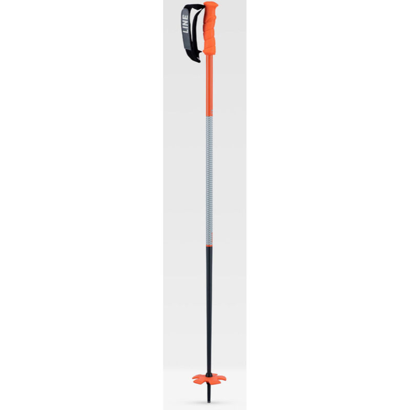 Line Grip Stick Ski Poles image number 0