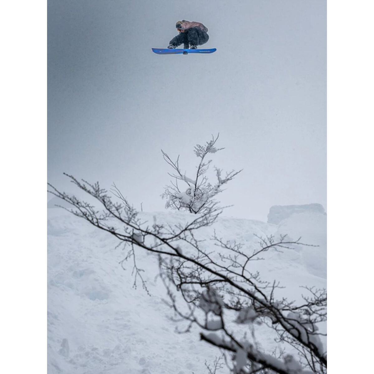 K2 Commonwealth Snowboard Unisex | Christy Sports