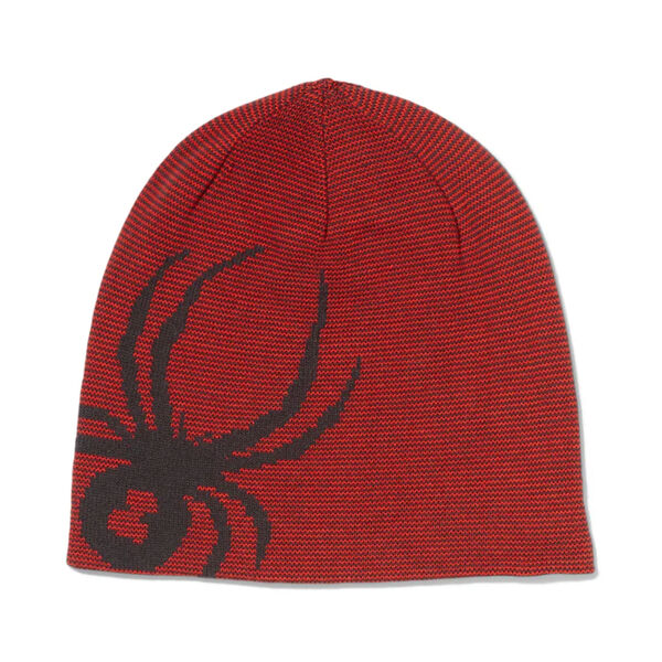 Spyder Reversible Innsbruck Beanie Mens