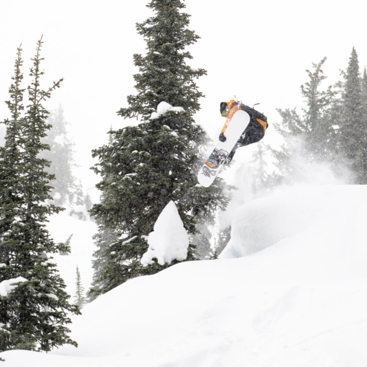 Lib Tech Jamie Lynn Snowboard Mens | Christy Sports