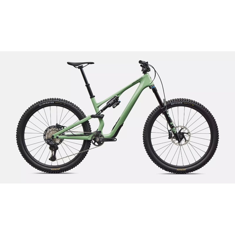 Specialized Stumpjumper 15 EVO Expert Mountain Bike - S3 Gloss Pistachio image number 0