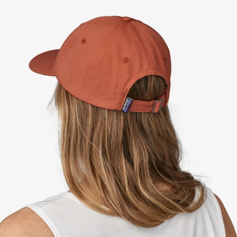 Patagonia P-6 Label Trad Cap image number 1