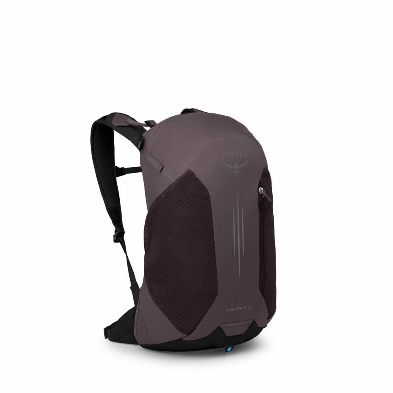 Osprey Hikelite&trade; LT 22 Hiking Backpack image number 0