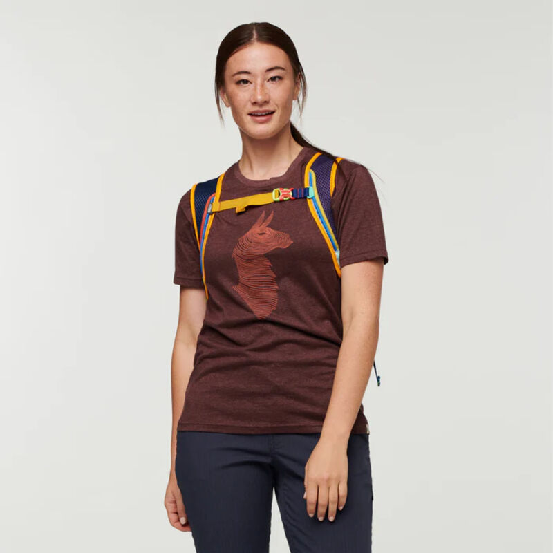 Cotopaxi Batac 16L Backpack image number 2