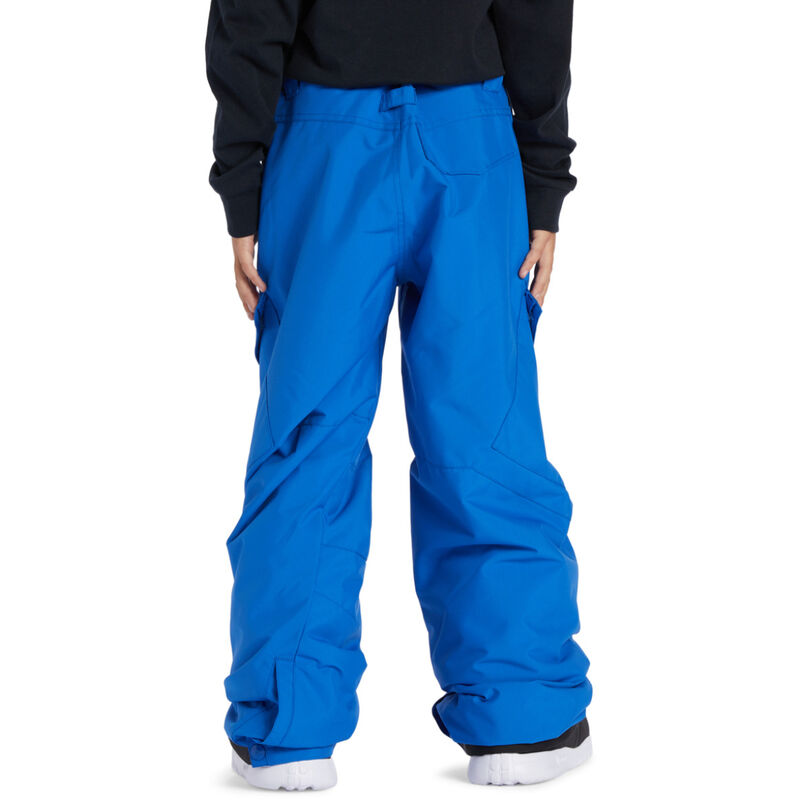 DC Shoes Banshee Technical Snow Pants Boys image number 1