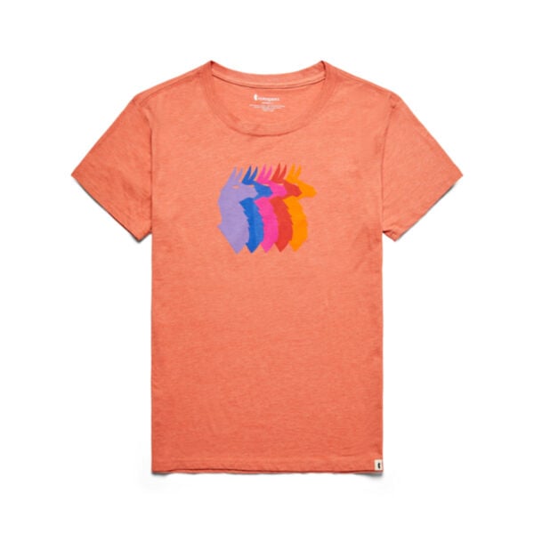 Cotopaxi Llama Sequence Organic T-Shirt Womens