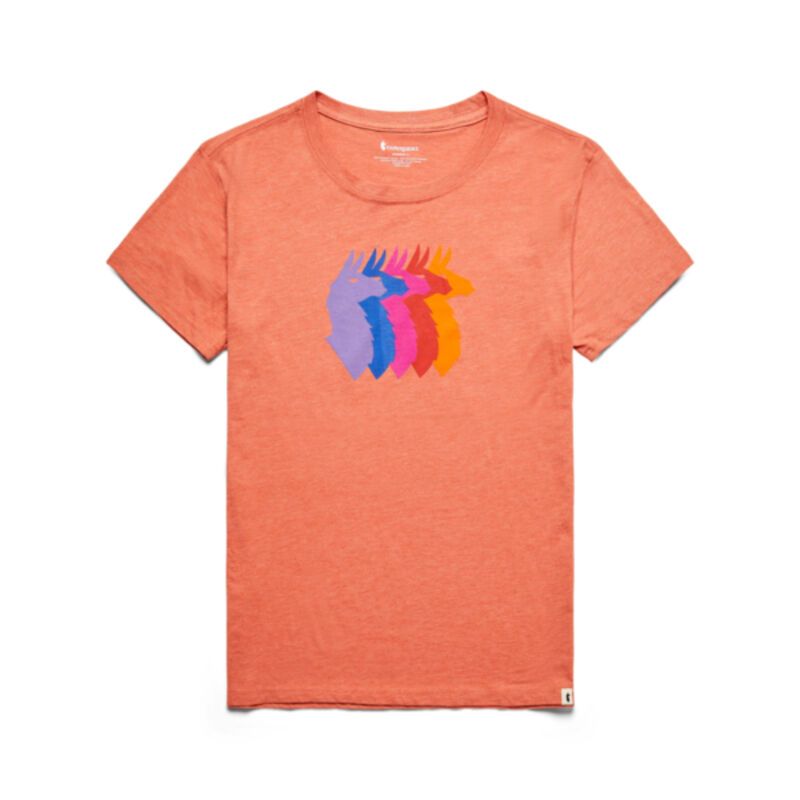 Cotopaxi Llama Sequence Organic T-Shirt Womens image number 0