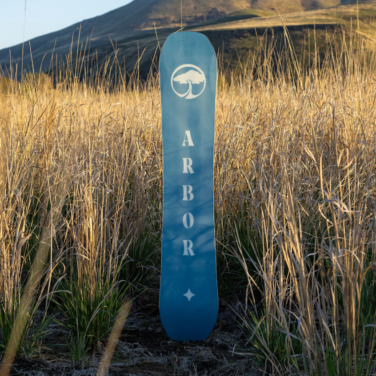 Arbor Swoon Camber Snowboard Womens | Christy Sports