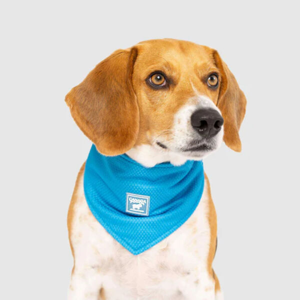 Canada Pooch Cooling Bandana Medium