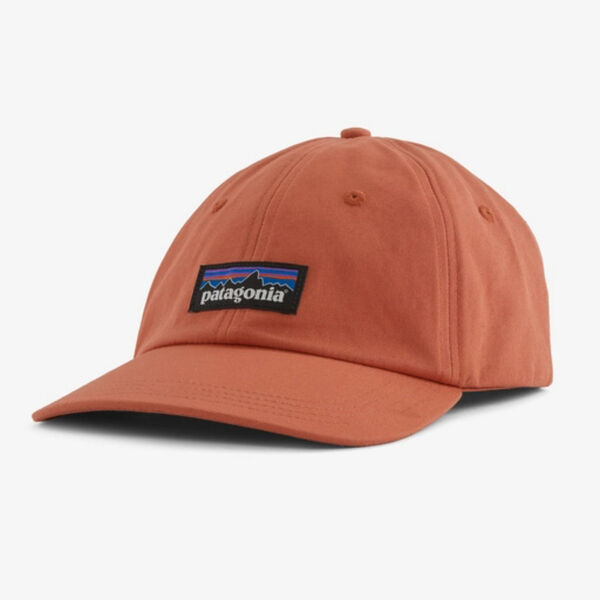 Patagonia P-6 Label Trad Cap