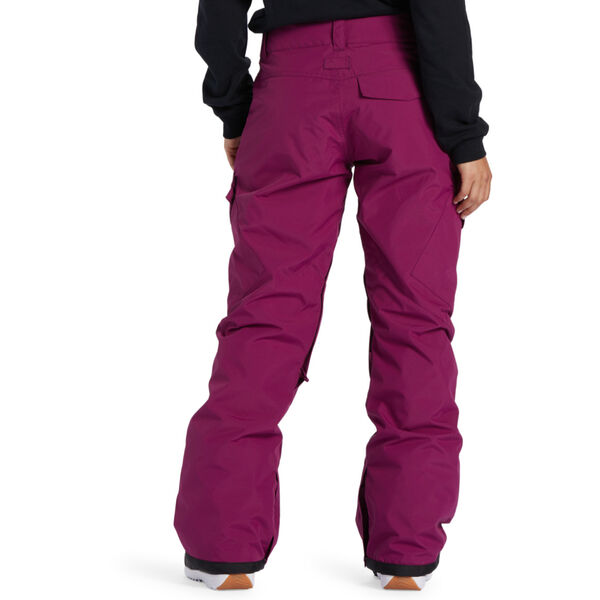 DC Shoes Nonchalant Technical Snow Pants Womens