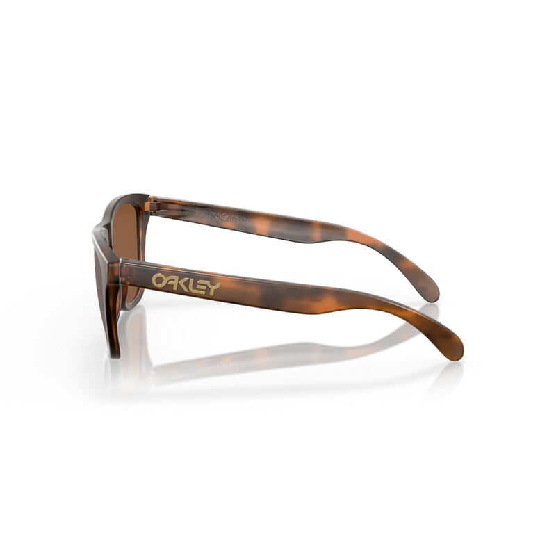 Oakley Frogskins Sunglasses + Prizm Tungsten Lenses image number 3