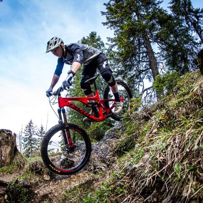 Demo Mountain Bike - Adult