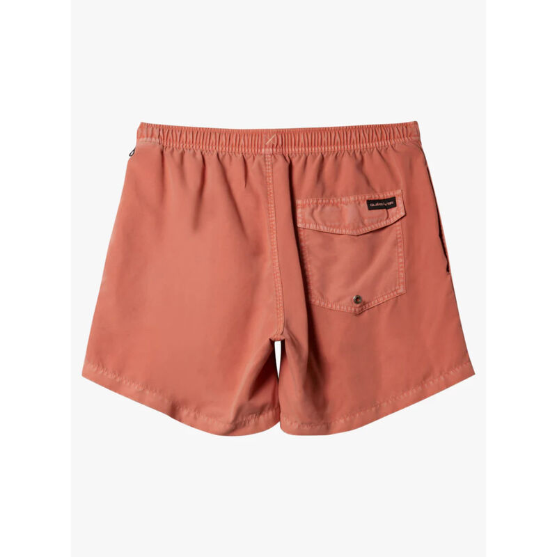 Quiksilver Everyday Surfwash Volley Waist Shorts Mens image number 1