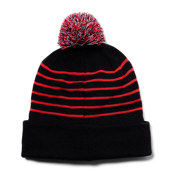 Spyder Icebox Pom Beanie Kids