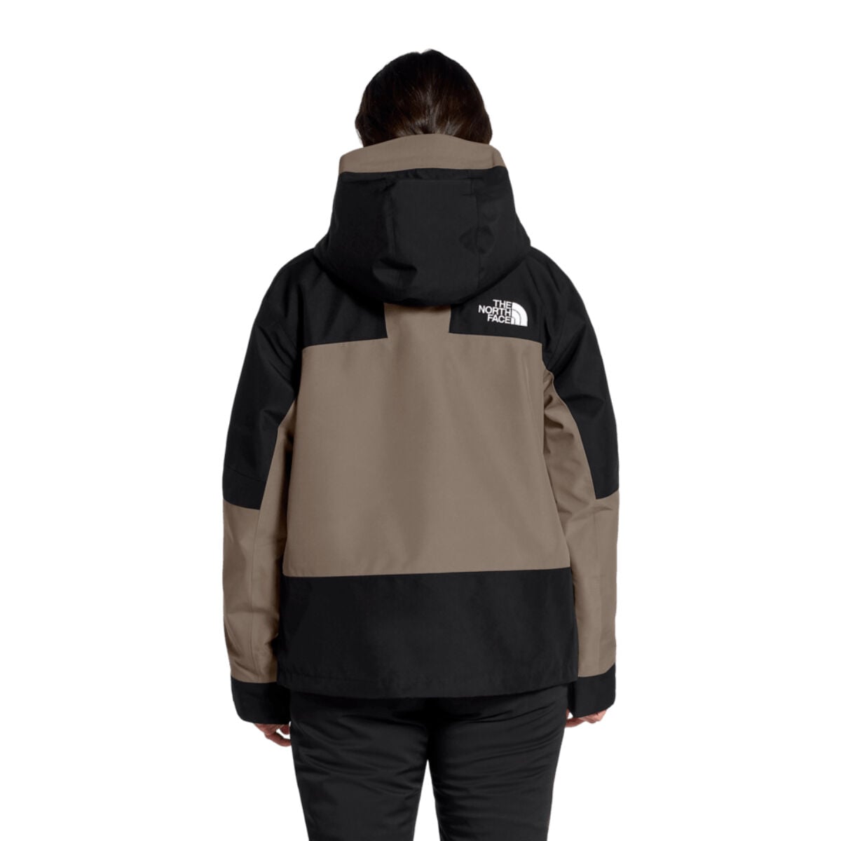 The North Face Gore-Tex Hex Jacket Womens | Christy Sports