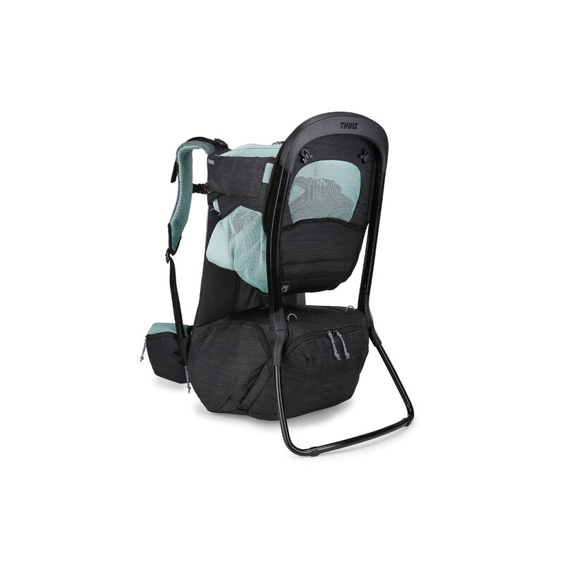 Thule Sapling Child Carrier image number 0