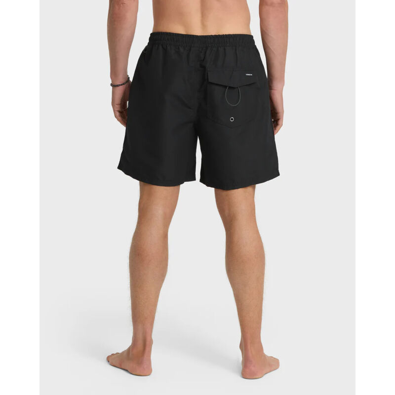 Quiksilver Everyday Solid 17" Swim Trunks Mens image number 1