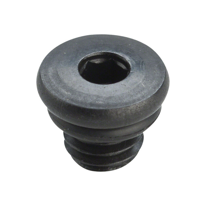 Shimano BL-M988 Bleed Screw & O-Ring image number 0