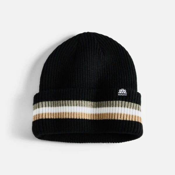 Autumn Cuff Beanie